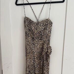 Zara Leopard Print Midi Dress